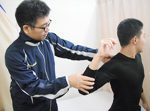 トレーナー活動